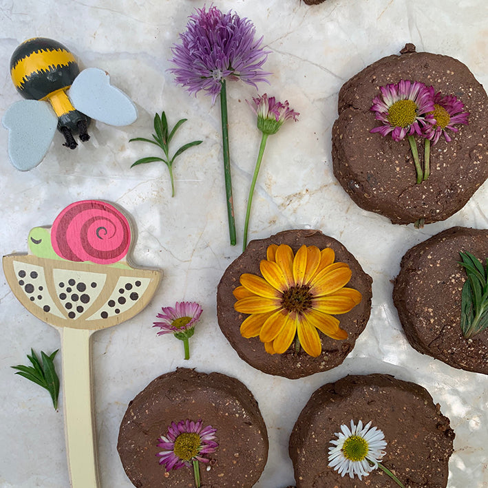 How to make Seed Bombs