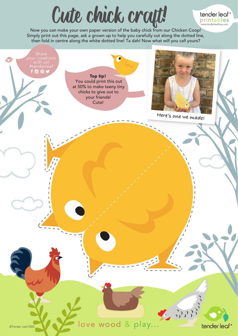 Chicken Coop
