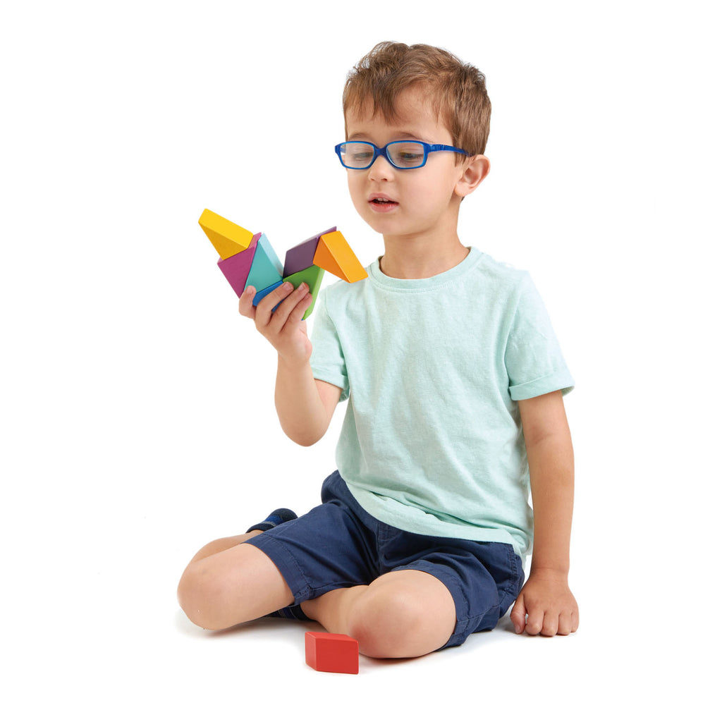 Tender Leaf Toys wooden set of colourful magnetic blocks, made from solid rubber wood and concealed multi directional magnets so always positive attraction